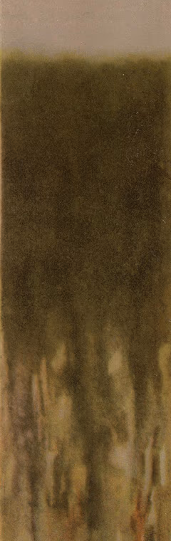 Cherokee, Silt Loam