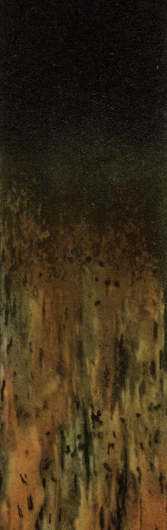 Grundy, Silt Loam